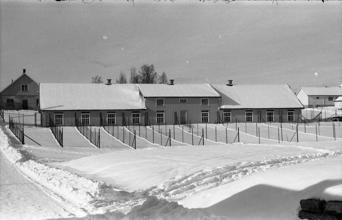 Fire vinterbilder av bygninger ved Oppland Småbruks- og Hagebruksskole (Valle) på Lena. Bilde en og to viser kyllinghuset, mens bildene tre og fire er hønsehuset, bygd 1934, revet 2016.