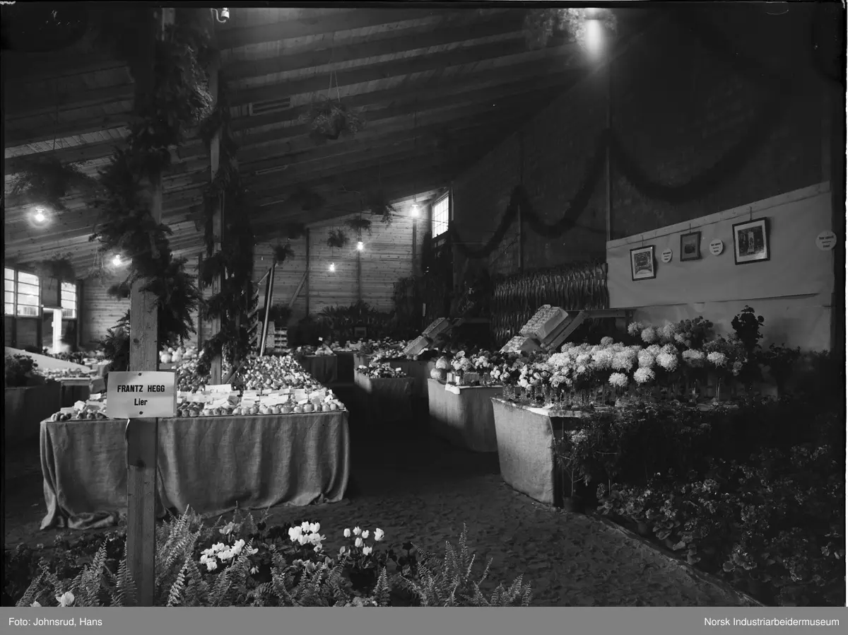 Fylkesutstillingen Kongsberg 1924. Utstilling for Frantz Hegg gartneri. Blomster oppstilt på bord rundt i lokalet.