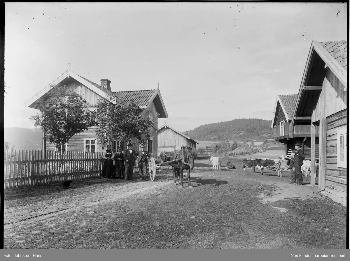 Mennesker og dyr på gårdstun på Nord Løkja. En hest spent for vogn. Kuene går løst på tunet.