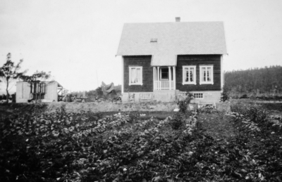 Foto av en åker med et bolighus like bak. Et bilde fra en samling fotografier med nybrott- og bureisingsfelt i Norge. Originalmaterialet tilhører Norsk myrmuseum i Smøla kommune. Fra Nordmøre museums fotosamlinger.