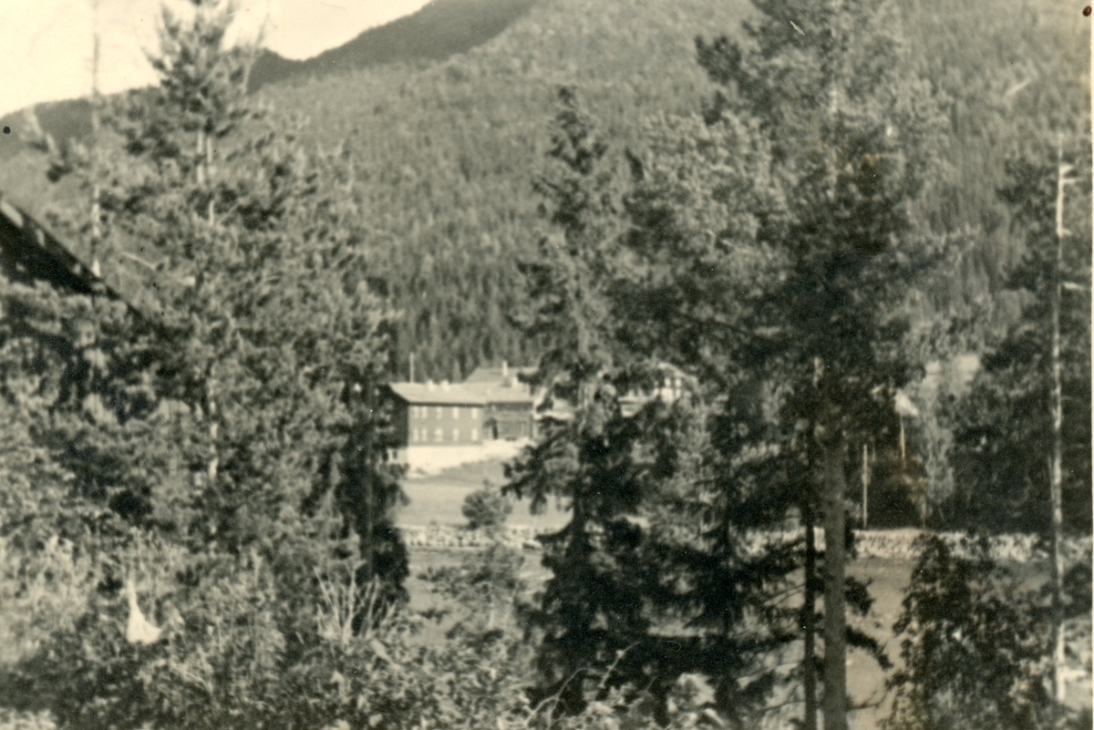 Gol Jernbanestasjon med Hjørnet, butikken til Asle Hesla juli 1940.