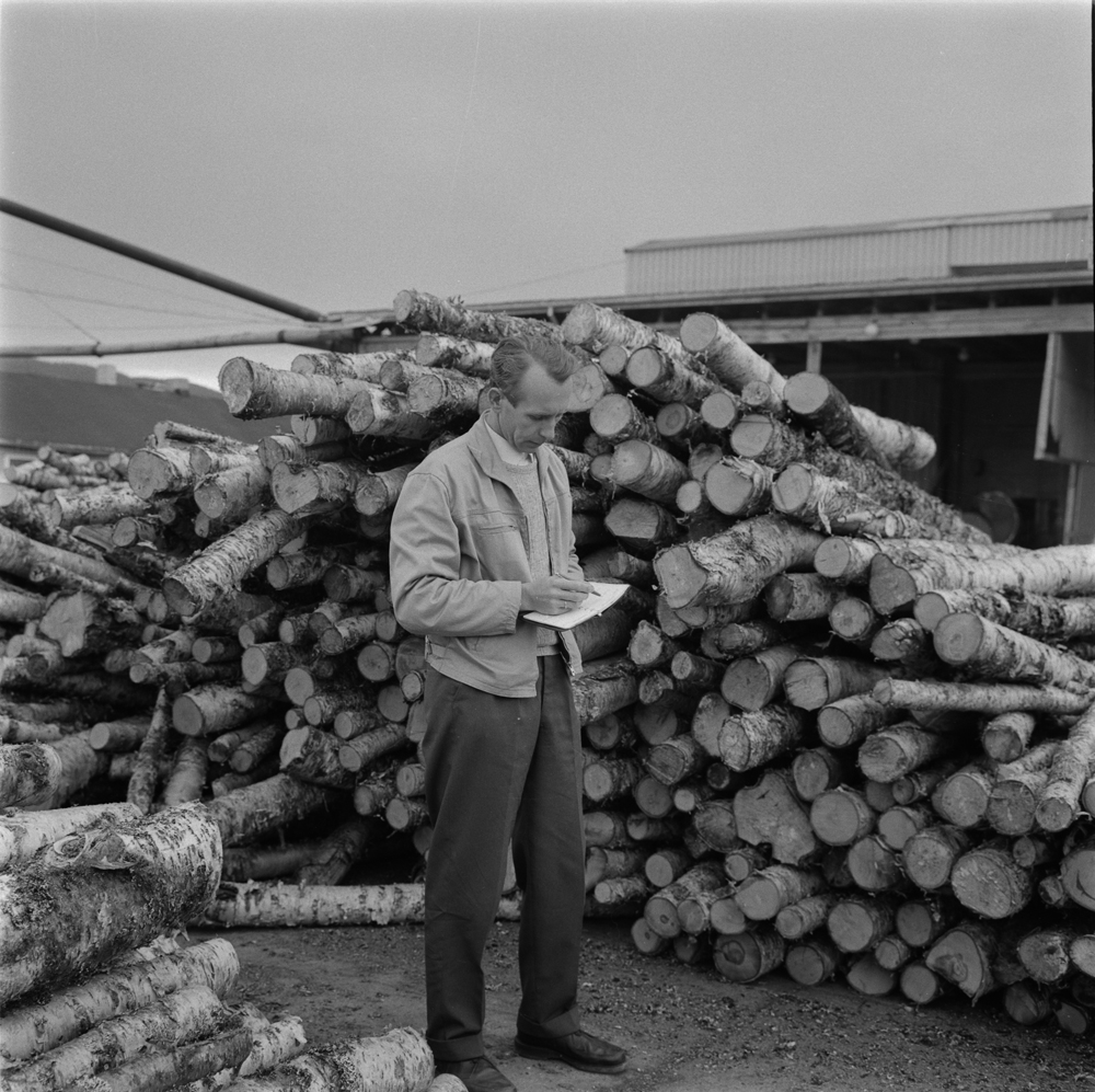 Hattfjelldal. Arbor sponplatefabrikk, tømmer, bjørk, person.
I forbindelse med Hattfjelldal Kommunes 100 års jubileum sommeren 1962.