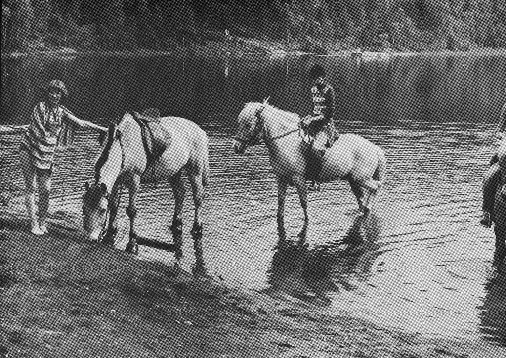 Tre personer med hester som står i vannet. Mostjønna.