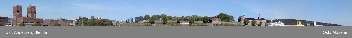 Panorama, utsikt, cruiseskip, havn, fjord, turistbåter, Rådhuset, Akershus Festning, Vippetangen, Sørenga, Ekebergåsen,