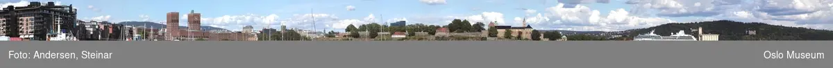Panorama, utsikt, cruiseskip, havn, fjord, turistbåter, Rådhuset, Akershus Festning, Vippetangen, Sørenga, Ekebergåsen,