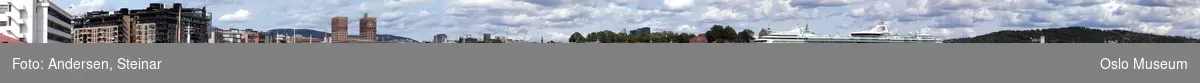 Panorama, utsikt, cruiseskip, havn, fjord, turistbåter, Rådhuset, Akershus Festning, Vippetangen, Sørenga, Ekebergåsen,