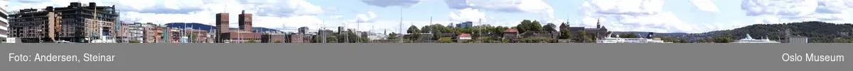 Panorama, utsikt, cruiseskip, havn, fjord, turistbåter, Rådhuset, Akershus Festning, Vippetangen, Sørenga, Ekebergåsen,