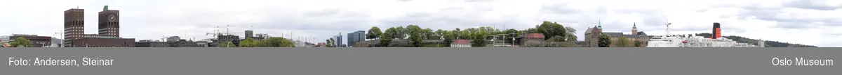 Panorama, utsikt, cruiseskip, havn, fjord, turistbåter, Rådhuset, Akershus Festning, Vippetangen, Sørenga, Ekebergåsen,