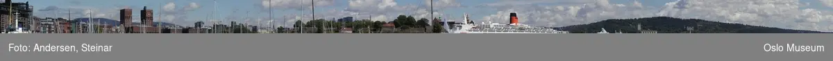 Panorama, utsikt, cruiseskip, havn, fjord, turistbåter, Rådhuset, Akershus Festning, Vippetangen, Sørenga, Ekebergåsen,