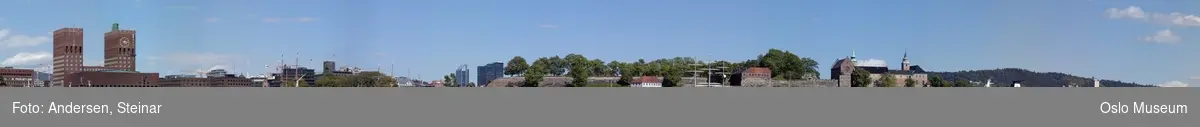 Panorama, utsikt, cruiseskip, havn, fjord, turistbåter, Rådhuset, Akershus Festning, Vippetangen, Sørenga, Ekebergåsen,