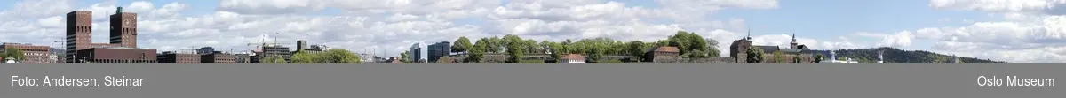 Panorama, utsikt, cruiseskip, havn, fjord, turistbåter, Rådhuset, Akershus Festning, Vippetangen, Sørenga, Ekebergåsen,