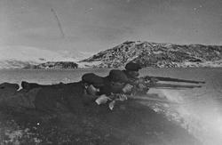 Tre menn som jakter nise i Vefsnfjorden på 1930-tallet.
Frid