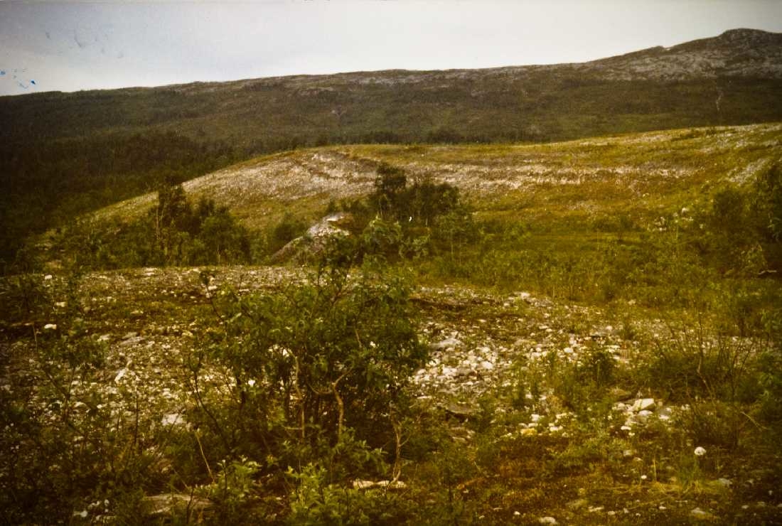 opprinnelig arkivnr. 0397-c.
Vefsna. Steintipp Gluggvatn. Landskapspleie. Vegetasjon steintippen
