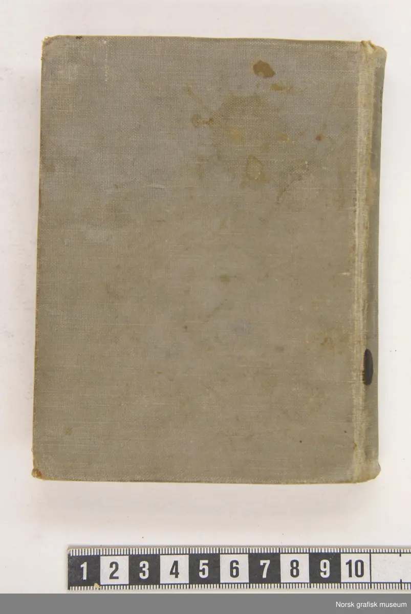 Det nye testatamentet med bilder