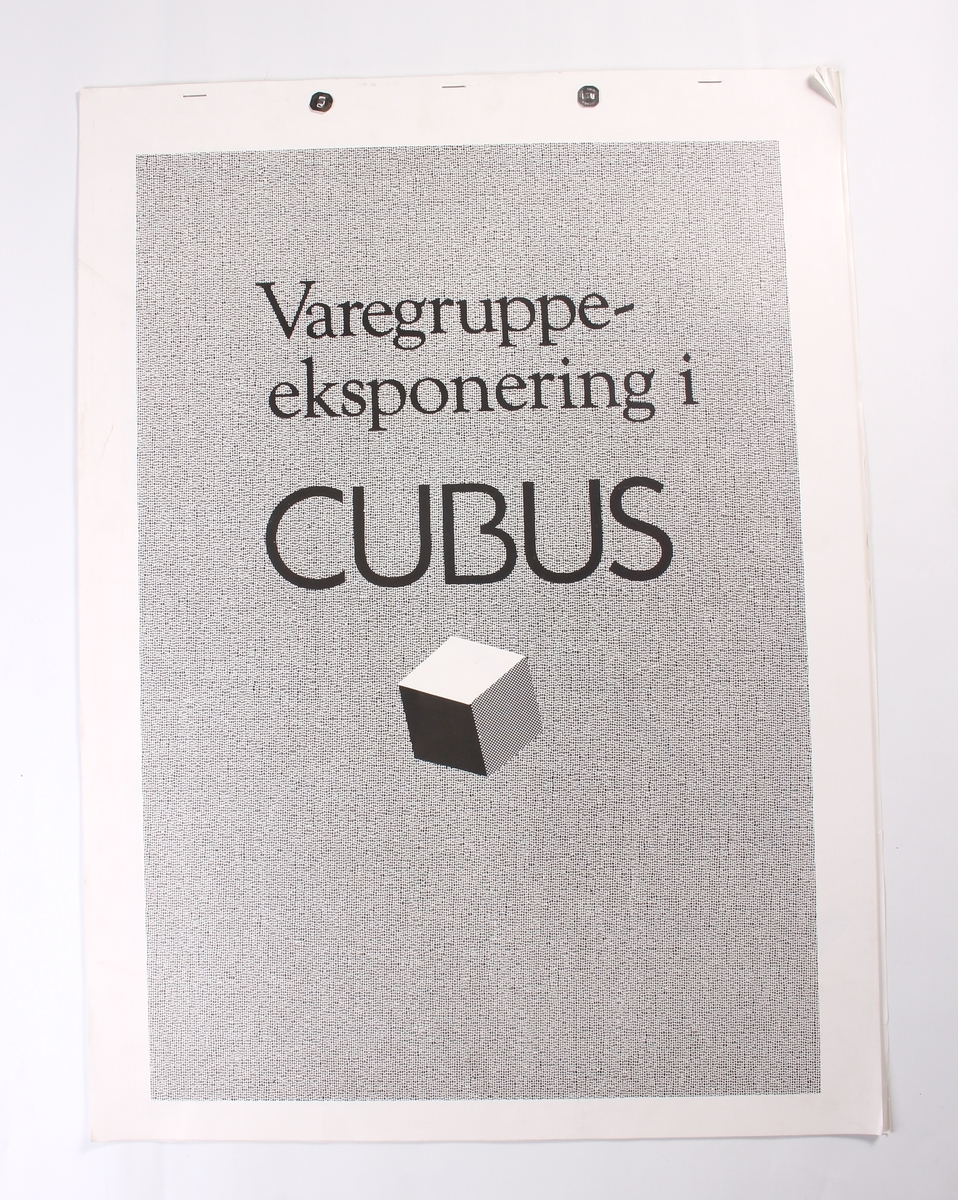 Profilhåndboken tar for seg det grafiske utrykket til CUBUS.