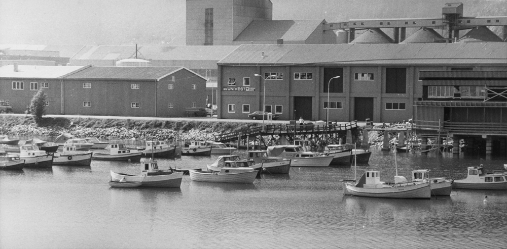 Småbåthavna i Mosjøen 1978.