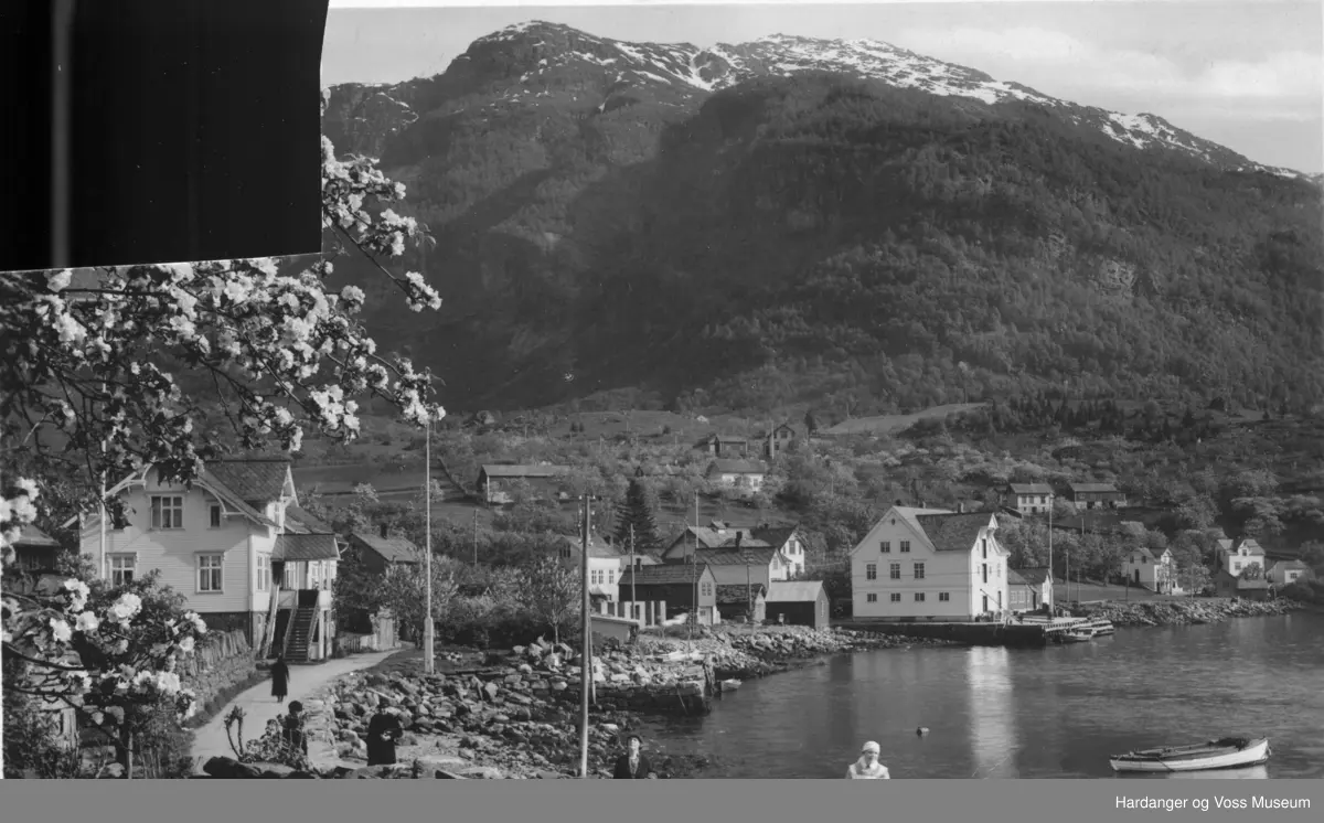 Landskapsbilete, handelsstad, frukttre