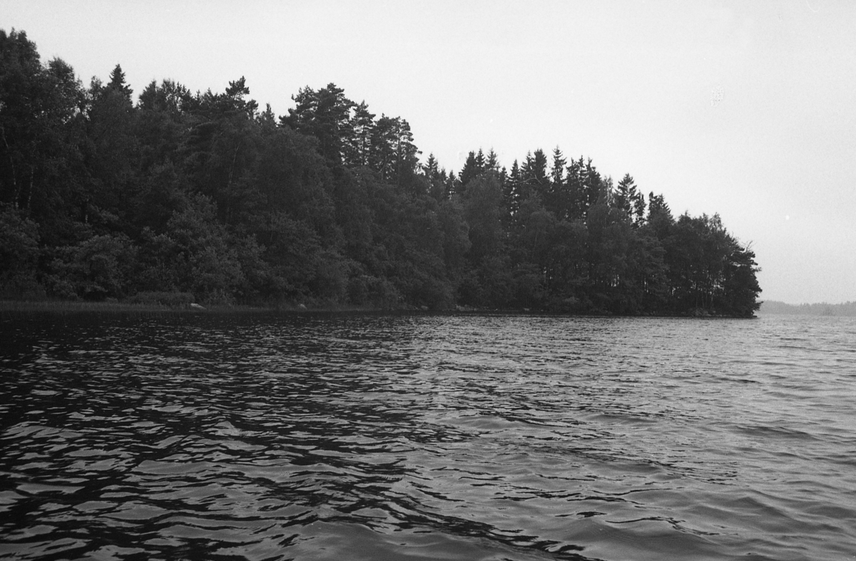 Fotografier tagna av ön Gettersö i södra delen av sjön Bolmen, Ljungby kommun, Småland
