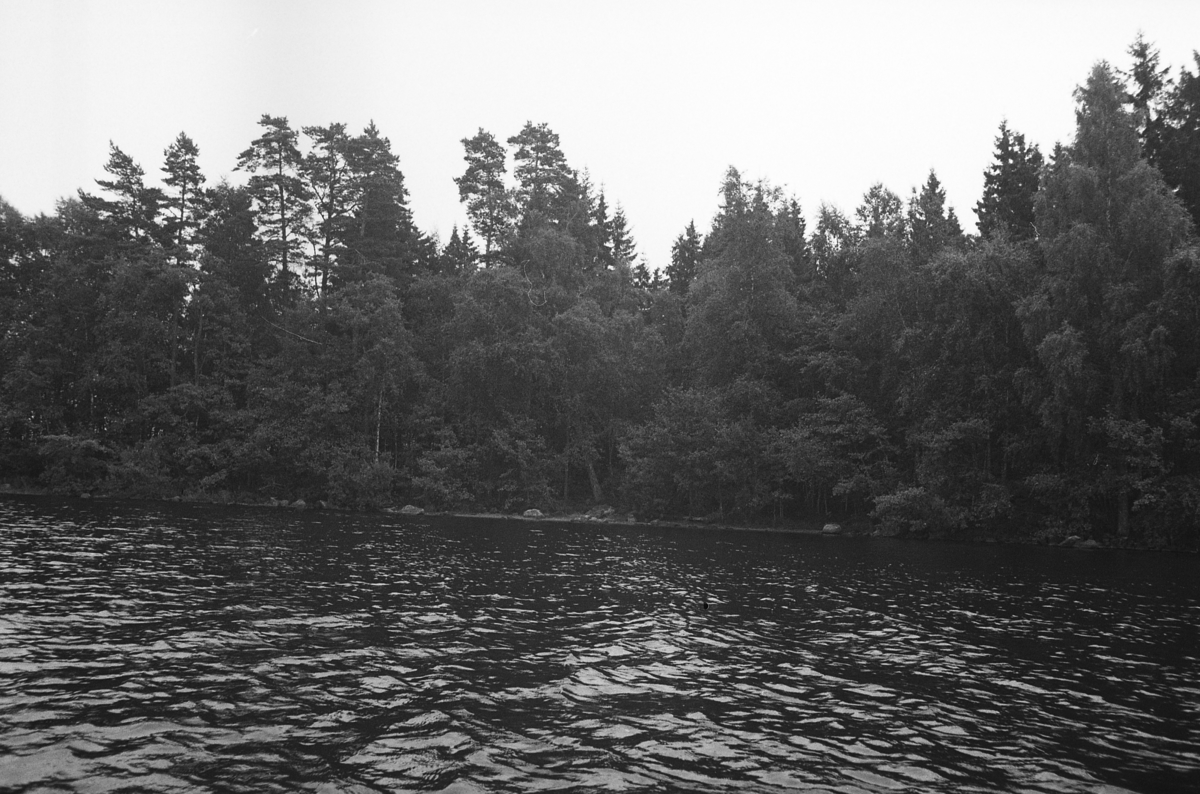 Fotografier tagna av ön Gettersö i södra delen av sjön Bolmen, Ljungby kommun, Småland