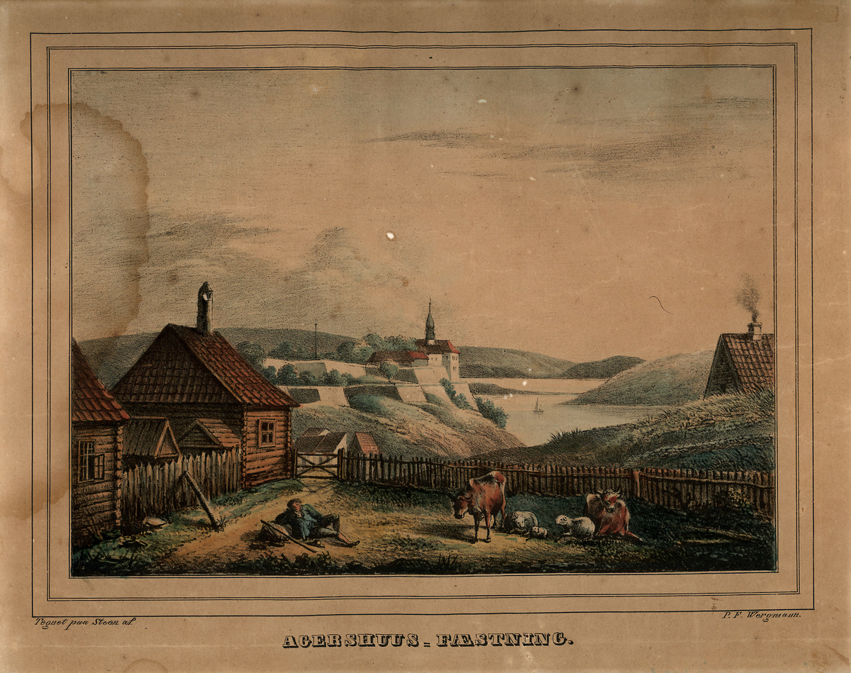 arkitektur, festning, slott, gjeter, sau, kyr