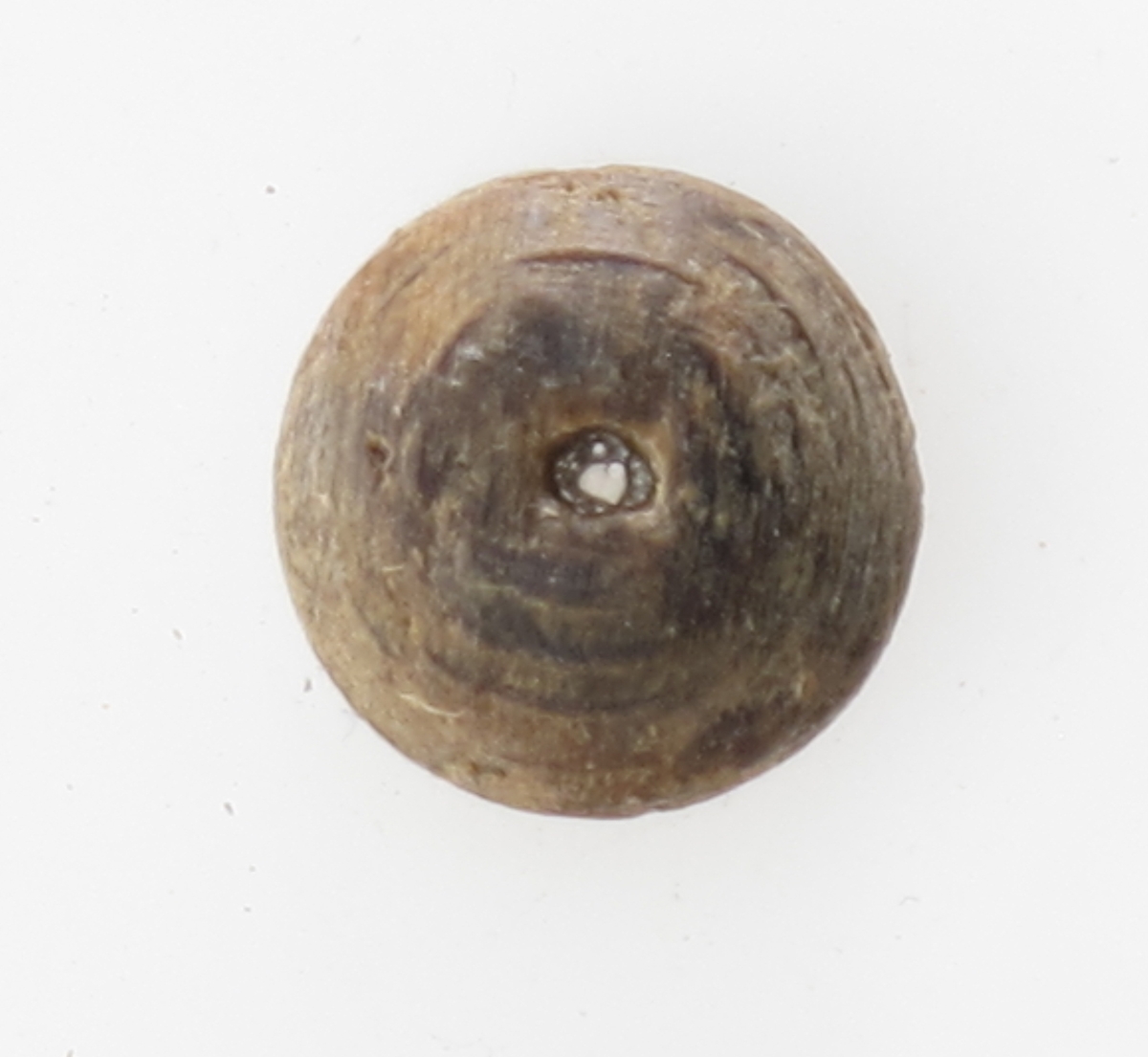Knapper, 6 stk.  "Fredensborg." 1768.   

Tre.  

a-b). Diam. 2,3 Svakt hvelvede, med ett hull. 

e-d) Mindre, mer hvelvet, med ett hull. Diam. l. 9.  

e-f) En inntørket trerest av samme type som c d anta gelig, flat. Diam. 2. og 1,8.