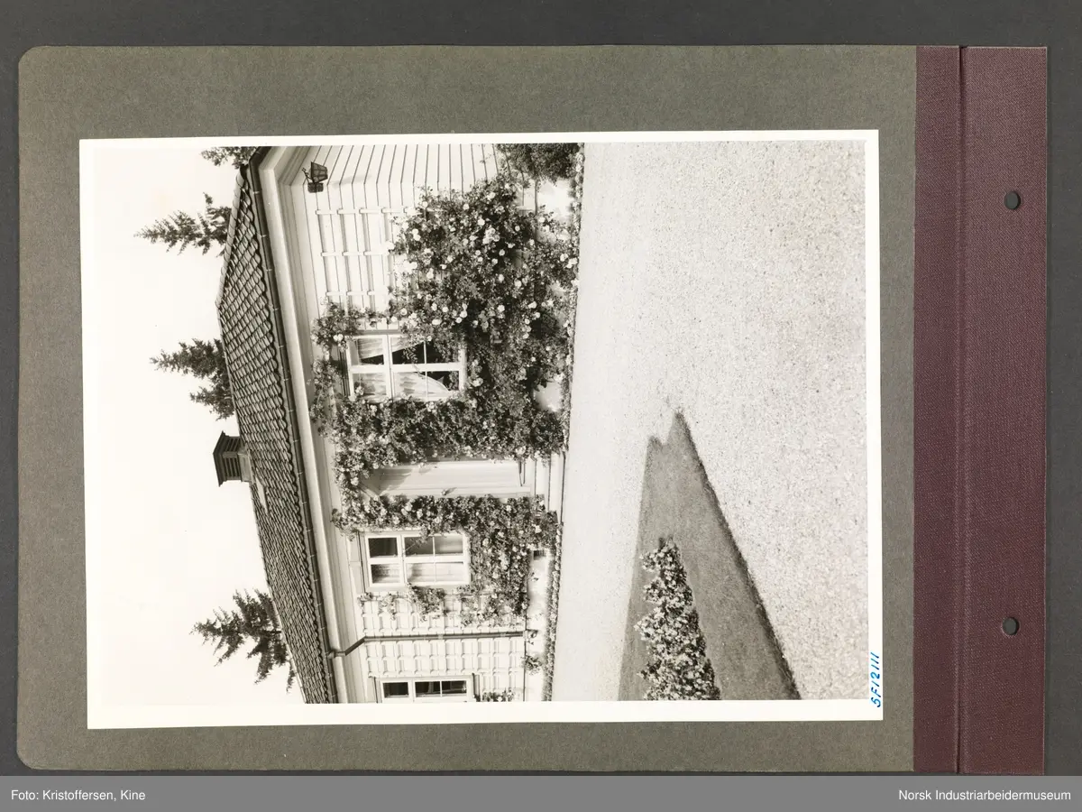 Fotoalbum med 48 sider og 51 innlimte fotografier fra Norsk Hydro på Herøya.