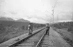 Linjebild vid Mjellijokk mellan Stordalen och Abisko. Till vänster över axeln på en av banarbetarna ser man det på 1960-talet rivna kombinerade pumphuset och banvaktstugan nr 521 med vars pump man pumpade upp vatten ur Mjellijokksbäcken till ångloken. Banunderhåll pågår, stoppning. Det man lyfter spåret med kallas groda ligger till vänster.