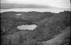 Naturbild