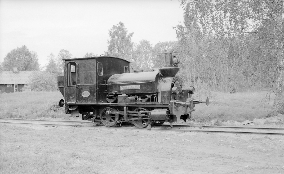 Sandvikens Järnverk, lok 1 "Styrbjörn". Inköpt 1890 och avställt 1956. Flyttades 1960 till fritidsområdet vid Högbo bruk.