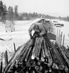 Lastning av timmer från lastbil till godsvagn med Puller timmerlastningsapparat, Glissjöberg.