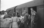 Evakuering av finska flyktingar, hösten 1944. SJ Grb 3176x.