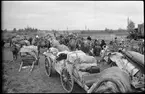 Evakuering av finska flyktingar, hösten 1944.