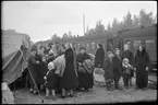 Flyktingar från Finland anländer i Haparanda hösten 1944.