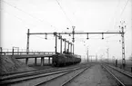 Betlastning. Arrie var en av en handfull stationer i Skåne som försågs med en betbrygga av den här typen. Bryggan bör ha varit ganska nybyggd när bilden togs då den typen byggdes runt 1940 (kanske första betkampanjen). Betbryggorna fanns i 2 modeller: Lastning på ena sidan eller på båda sidor. Bryggan i Arrie var ensidig. Stålöverdelen är borta sedan början på 60-talet, medan betongbryggan fortfarande finns kvar i Arrie. Bangårdsspåren är sedan länge borta.