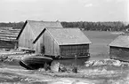 Ålandsresa. Skärgård. Fiskeläger med ekor