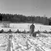 Driftvärnets vintertävling. Skidor och skytte