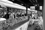 Midsommartrafiken vid Stockholm Central, spår 11, blomplantering vid trappan till gångtunnel under spåren.