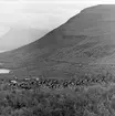 Stugby, turistanläggning i Lappland