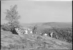 Luppioberget på linjen mellan Luppio och Övertorneå.