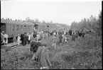 Hållplats vid en stig upp till Luppioberget på linjen mellan Luppio och Övertorneå.