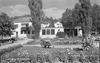 Järnvägsparken med blomsterprakt. Stationshuset tog i bruk 1938.