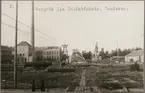 Sandarne, Bergvik & Ala sulfatfabrik.