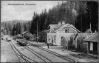 Forsaströms järnvägsstation runt 1908-1910.