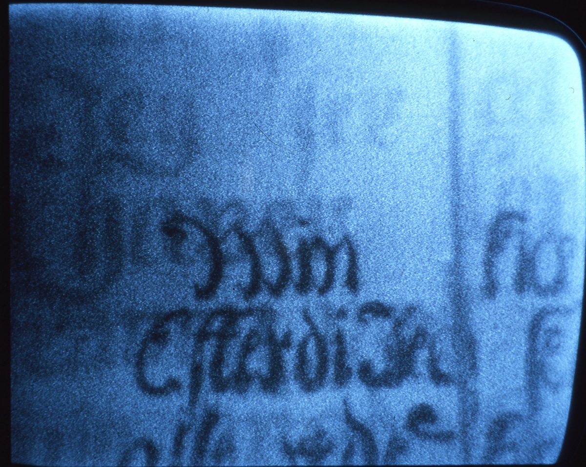 Bilder fra Synvisstua tatt med IR-fotokamera.