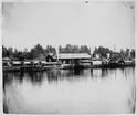 Tre ångbåtar i Bergviks hamn omkring 1880. Fartygen är från vänster S/S Kilhafors, S/S Warpen samt S/S Bergviken. Att S/S Warpen finns med på det här fotot indikerar att bilden är tagen efter 1879 eftersom fartyget trafikerade Edsänge - Bollnäs fram till det datumet.
Bergvikens station ligger strax till höger utanför bild.