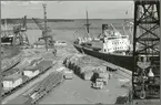 Gävle hamn år 1953.
