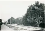 Station öppnad 1892. Stationshus av Byskemodellen. Mekanisk växelförregling. Den blev nedlagd 1989. Framme på bilden syns stationsplantering med Ornäsbjörk.