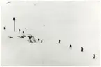 Utläggning av fältkabel för telefon och telegraf  mot Abisko, efter snöskredet 10/2 1933