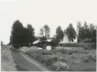 SJ, Statens Järnvägar Östersund plantskola.