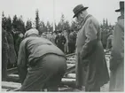 Sammanspikning av inlandsbanans sista skenor i september 1936.